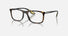 0RX7222M / Polished Havana(F620) / 54-18-145