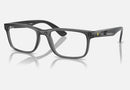 0RX7232M / Polished Transparent Grey(F691) / 54-19-145