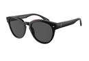 0AR8164F Giorgio Armani / Black/Brown/Grey(500187) / 55-20-145