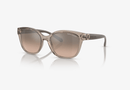 0AX4127S Armani Exchange / Shiny Transparent Tundra/Brown Mirrored Silver Gradient(82408Z) / 55-17-140