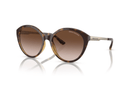 0AX4134S Armani Exchange / Shiny Havana/Brown Gradient(821313) / 55-17-140