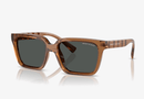 0AX4147S-Armani Exchange / Shiny Transparent Brown/Dark Grey(835887) / 56-17-145