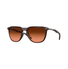 0OO9286 Oakley / Matte RootBeer(928606) / 54-19-145