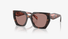 0PR15WS Prada / Havana/Brown(23A60B) / 54-19-140