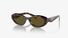0PR26ZS Prada / Tortoise/Brown(14L09Z) / 55-16-145