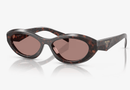 0PR26ZS Prada / Havana/Brown(17N60B) / 55-16-145