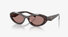 0PR26ZS Prada / Havana/Brown(17N60B) / 55-16-145