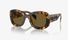 0PRA13S Prada / Honey Tortoise/Dark Brown(VAU01T) / 54-23-145