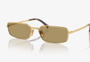 0PRA60S Prada / Gold/Brown(5AK70G) / 59-18-140