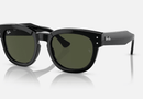 0RB0298S Ray-Ban® / Polished Black/Green(901/31) / 53-21-145
