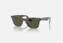 0RB2140 Ray-Ban® / Polished Photo Striped Grey/Green(138731) / 50-22-150