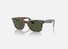 0RB2140 Ray-Ban® / Polished Photo Striped Grey/Green(138731) / 50-22-150