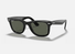 0RB2140 Ray-Ban® / Polished Black/Green(901/58) / 50-22-150