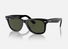 0RB2140 Ray-Ban® / Black/Green Classic G-15 (901) / 50-22-150