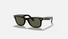 0RB2140F Ray-Ban® / Polished Tortoise/Green(902) / 52-22-150