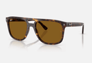 0RB2213-Ray-Ban® / Polished Havana B-15(902/33) / 58-20-145