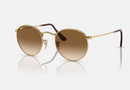 0RB3447 Ray-Ban® / Polished Gold/Brown(001/51) / 53-21-145