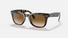 0RB4105 Ray-Ban® / Light Havana/B-15 Bown(710) / 54-20-140