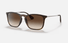 0RB4187 Ray-Ban® / Tortoise/Polarized Brown Gradient(856/13) / 54-18-145