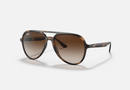 0RB4376-Ray-Ban® / Havana/Brown Gradient(710/13) / 57-16-145