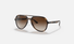 0RB4376-Ray-Ban® / Havana/Brown Gradient(710/13) / 57-16-145