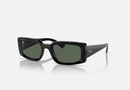 0RB4395F Ray-Ban® / Black/Dark Green(667771) / 54-21-140