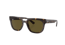 0RB4426-Rayban / Havana/Dark Brown(135973) / 54-21-145