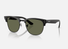 0RBR0504S / Polished Black/Polarized Dark Green(67839A) / 51-21-145