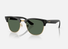 0RBR0504S / Polished Black/Dark Green(6677VR) / 51-21-145
