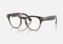 0RW7002 Meta AI / Shiny Transparent Stone Beige/Demo Lens(8531) / 49-22-150