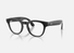 0RW7002 Meta AI / Shiny Transparent Black/Demo Lens(8526) / 49-22-150