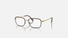 0RX6495 Ray-Ban® / Havana On Gold(2945) / 52-19-145