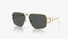 0VE2251-Versace / Gold/Dark Grey(147187) / 63-12-145
