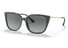 0VO5435SI-Vogue / Transparent Green/Gold Grey(283411) / 55-17-140