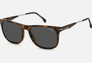 CARRERA 276/S/N / Dark Havana(086) / 55