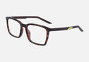 7256 / Tortoise/Brown Basalt(239) / 54-17-145