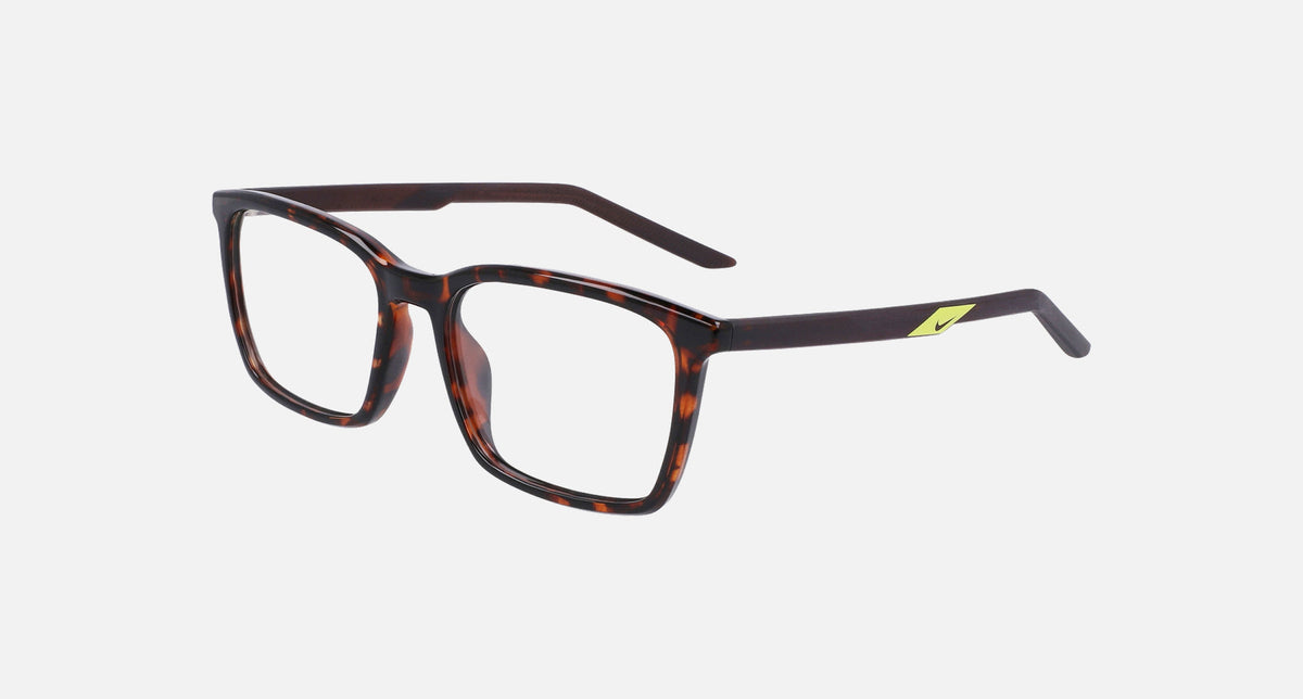 7256 / Tortoise/Brown Basalt(239) / 54-17-145