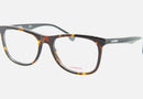 CA 5544/V / Havana Black(581) / 53-19-145