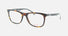 CA 5544/V / Havana Black(581) / 53-19-145