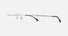 CA 8919 / Gold Black(RHL) / 55