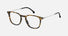 CA 156/V / Light Havana Black(555) / 49-20-145