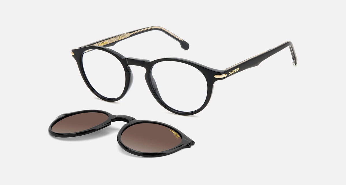 CA 297/CS/N / Black/Brown Polarized(807/LA) / 48-21-145