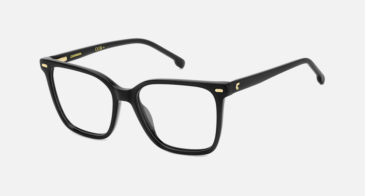 CA 3011 / Black(807) / 53-16-140