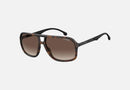 CARRERA 8035/S / Dark Havana(086) / 61