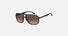CARRERA 8035/S / Dark Havana(086) / 61