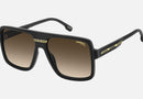 VICTORY C 09/S / Black Gold(I46) / 59
