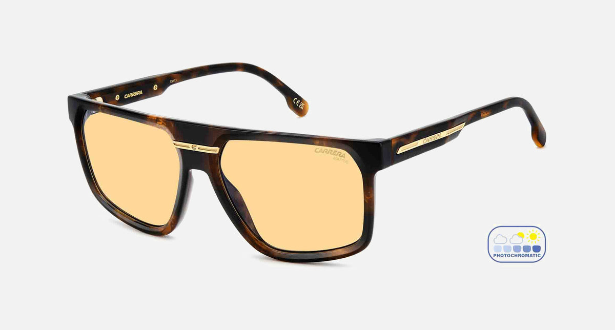 VICTORY C 14/S / Dark Havana(086) / 60