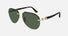 CT0275S / Gold/Havana / Green AR (002) / 61-14-145