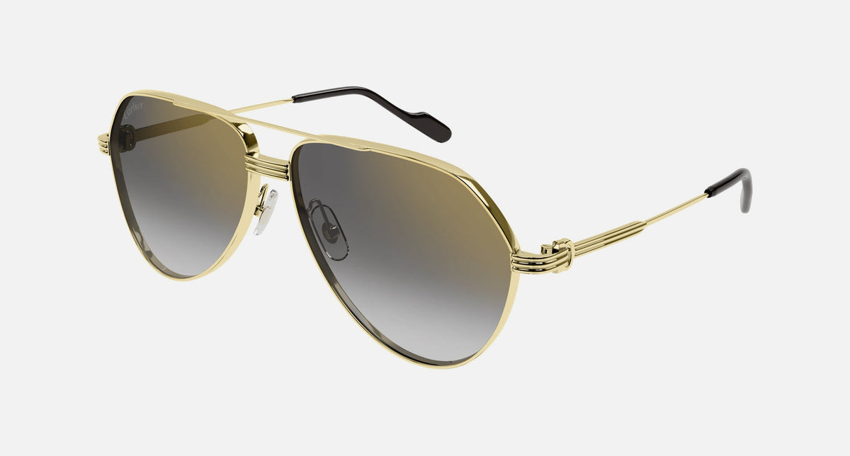 CT0303S / Gold / Gray Multi Treatment (001) / 61-14-145