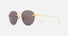 CT0393S / Gold / Grey (002) / 52-20-145